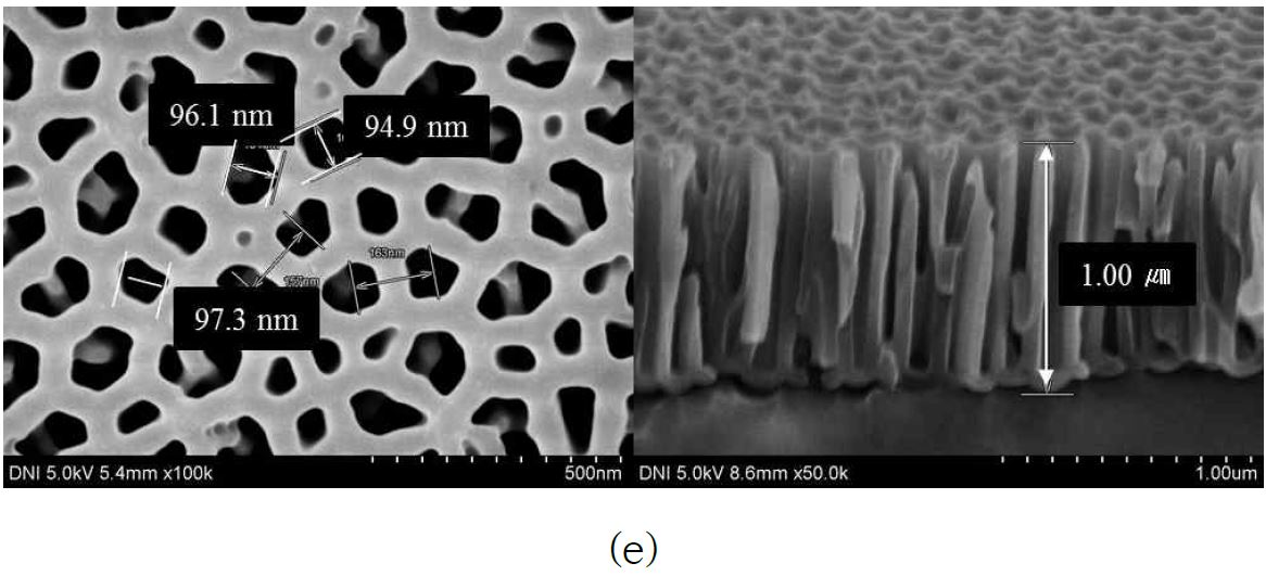 그림 1. 제작된 나노 다공성 AAO 칩의 FE-SEM 사진