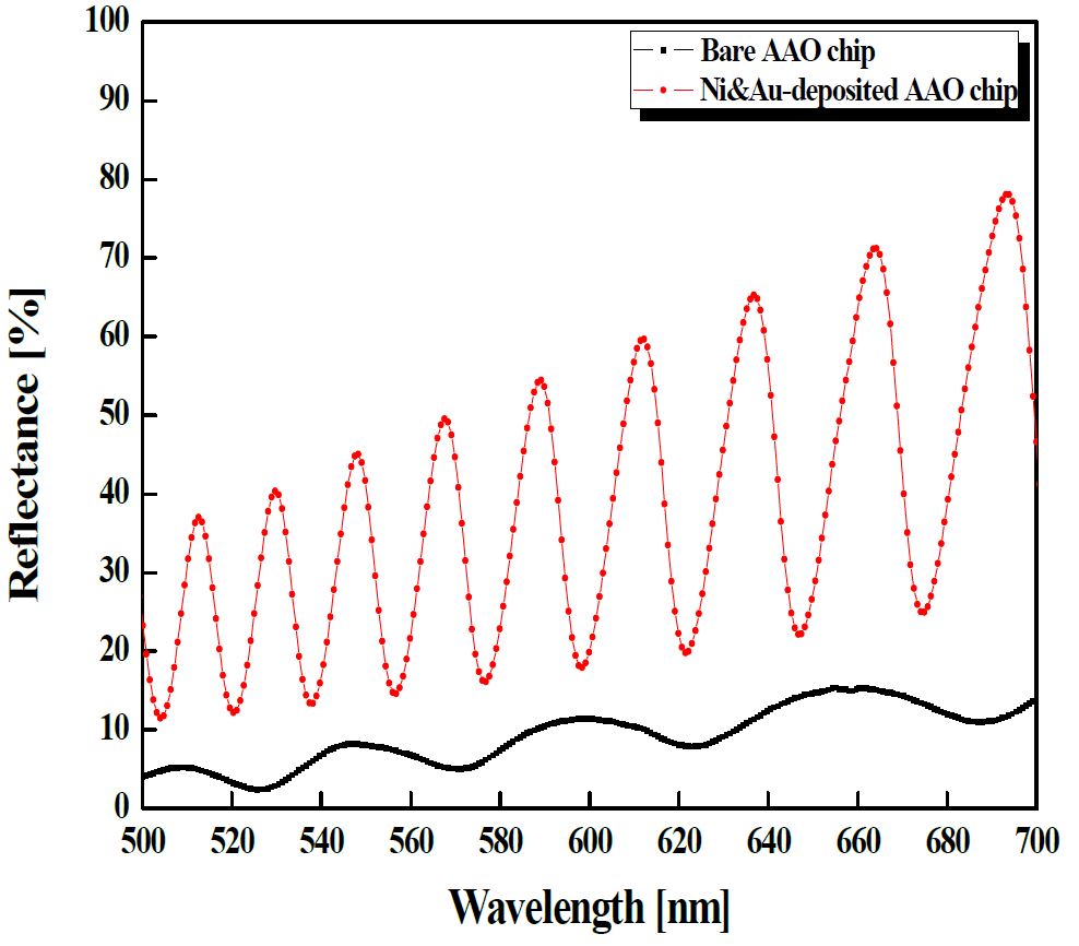 그림 2. 금이 증착된 AAO 칩의 반사 특성