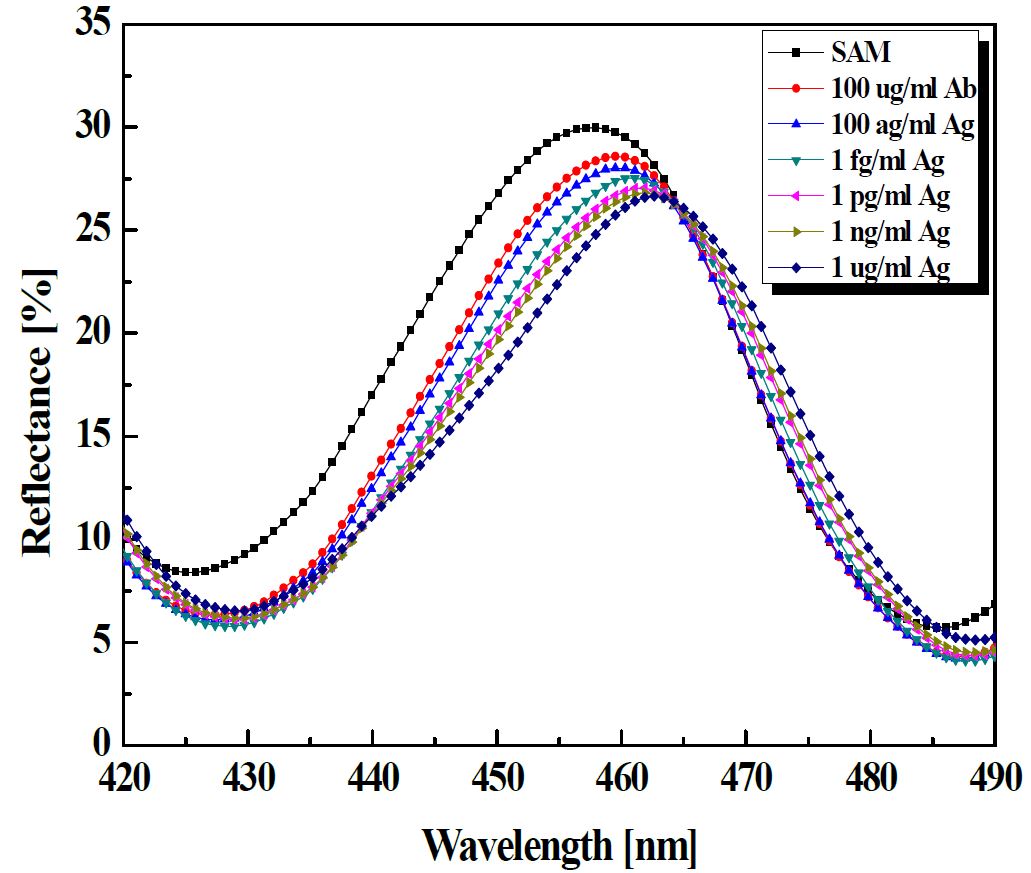 그림 4. SAA1 농도 변화에 따른 반사광의 파장 이동 및 반사광 파장 이동량