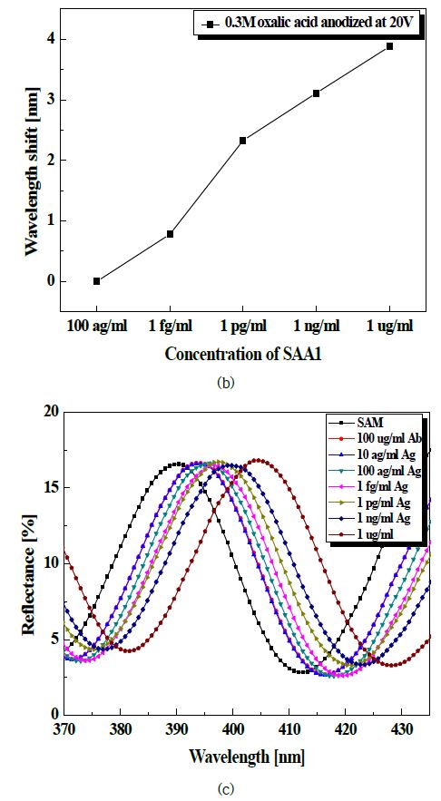 그림 4. SAA1 농도 변화에 따른 반사광의 파장 이동 및 반사광 파장 이동량