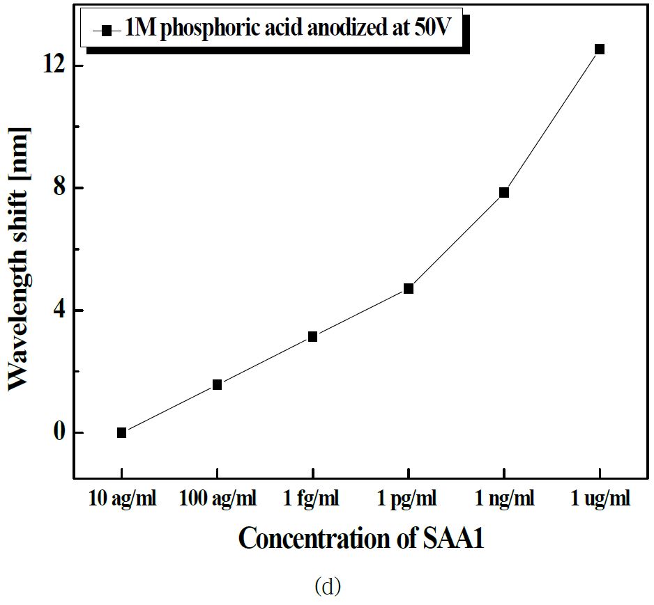 그림 4. SAA1 농도 변화에 따른 반사광의 파장 이동 및 반사광 파장 이동량