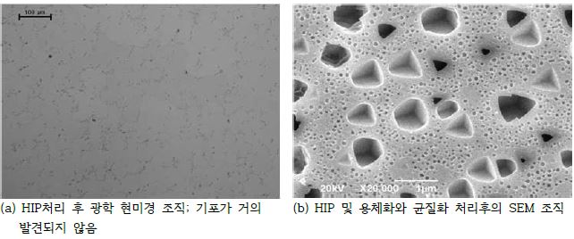 HIP 및 용체화, 균질화 처리 후 현미경 조직