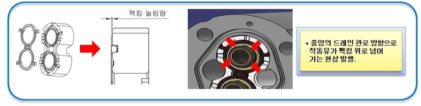 스러스트 플레이트 Packing 자리부의 영향