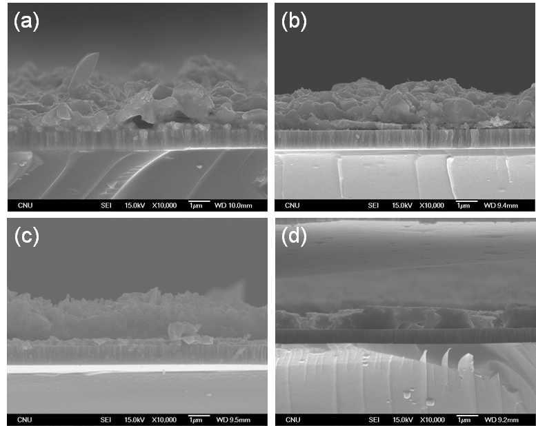 셀렌화 공정 온도에 따른 CIGS 박막의 미세 구조 변화 주사전자 현미경 사진