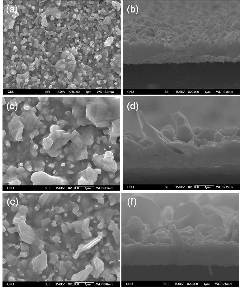 1차 셀렌화 온도 변화에 따른 CIGS 박막의 미세 구조 변화 주사전자 현미경 사진