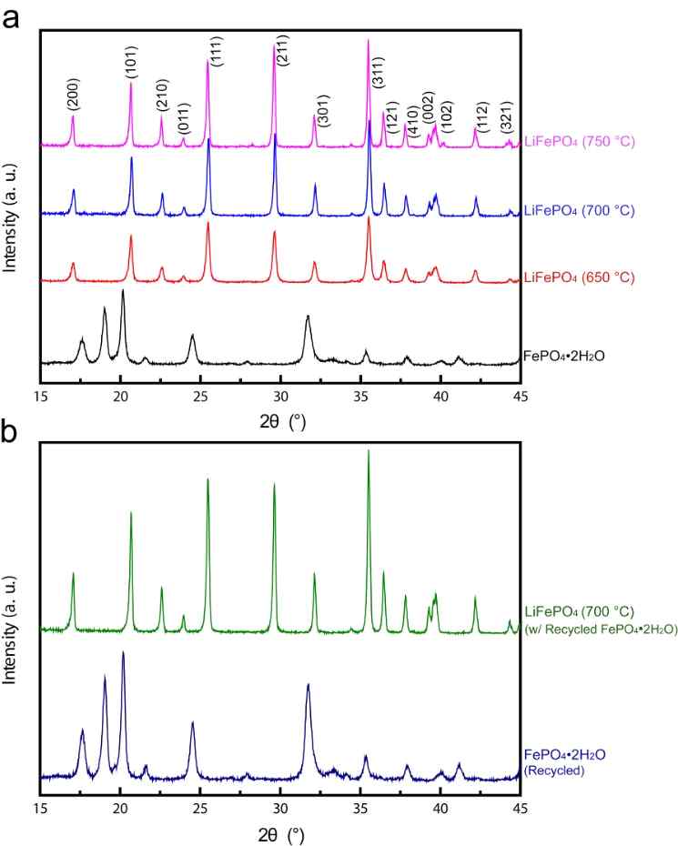 그림 10. FePO4 전구체와 다양한 온도에서 합성된 LiFePO4 XRD(a) 및 재활용된 FePO4 전구체와 700oC에서 합성된 LiFePO4 양극소재 XRD(b)