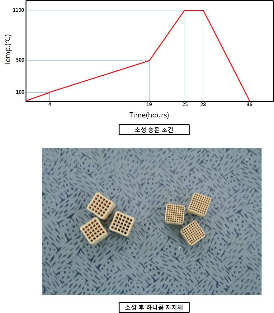 소성 공정 승온 조건과 소성 후 하니콤 지지체