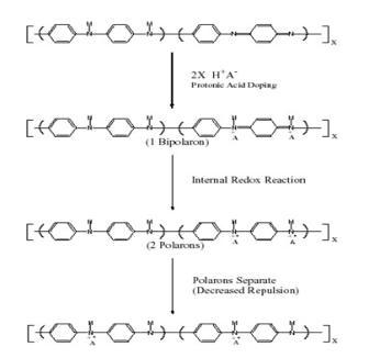 Schematic process of protonation of emeraldine base