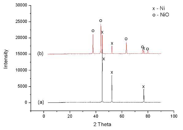 (a) 연료극으로 사용되는 니켈 전극과 (b) 전극을 850 ℃에서 2시간동안 열처리하여 얻은 샘플의 XRD 패턴