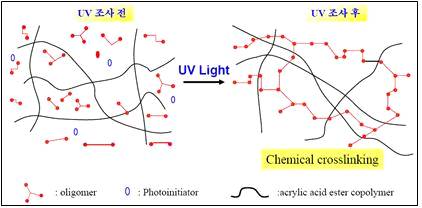 Curing behavior of UV curing system