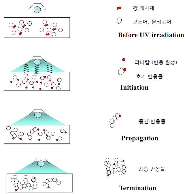 UV 경화 메카니즘