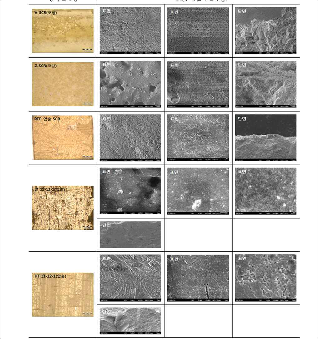 SCR 샘플의 광학 및 SEM 촬영 사진