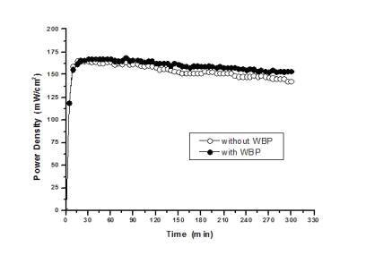 자가가습형 MEA 단전지 평가에서 정전압 모드에서 WBP 적용 효과