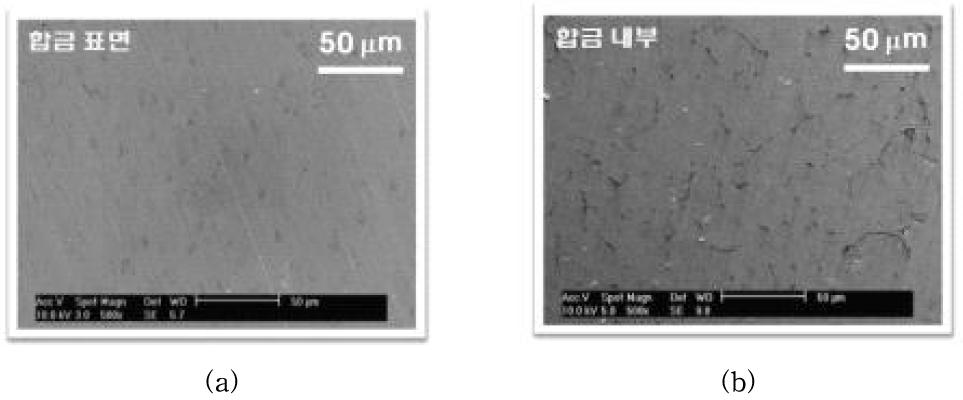 VIM alloy (a)합금표면 & (b) 합금내부에 대한 SEM 측정