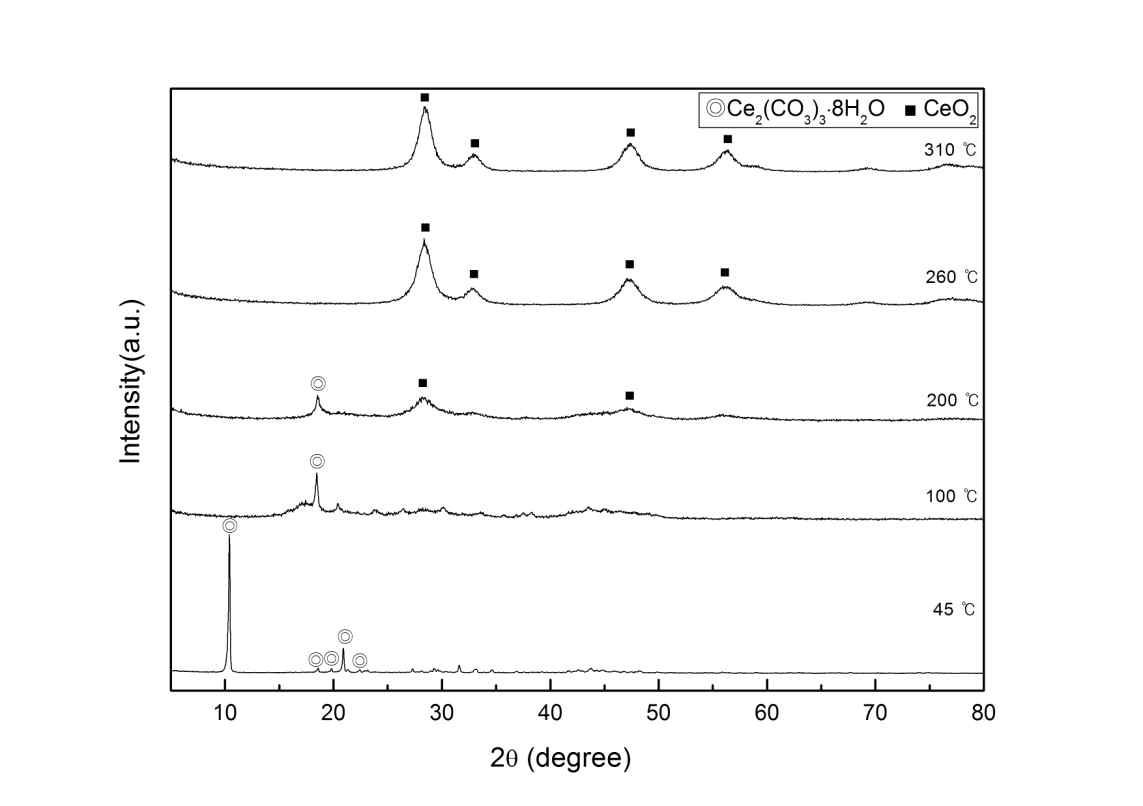 하소온도에 따라 제조된 산화세륨의 X-선 회절패턴