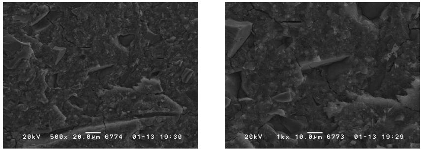 SEM micrographs showing microstructure of DAVYA 60