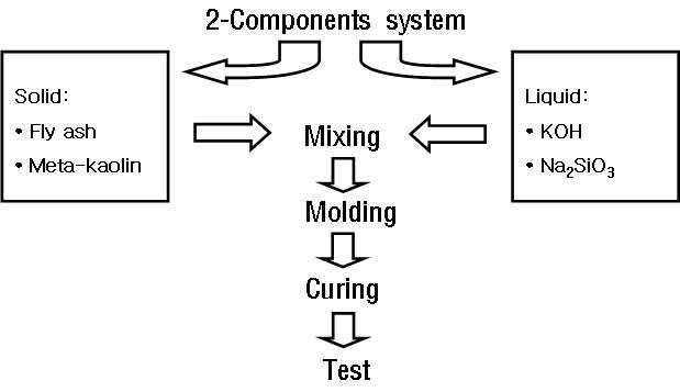 Schematic diagram of experimental procedure