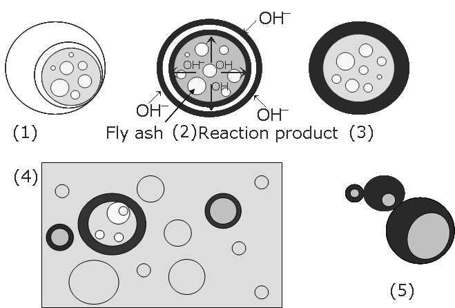 플라이애쉬의 알카리 활성화 반응 모식도
