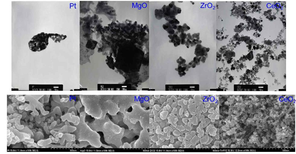 TEM/SEM image of Catalysts precursor