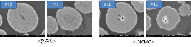 온도 변경에 따른 전구체, 양극재 단면 SEM 이미지