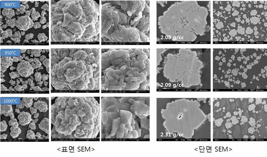 열처리온도에 따른 양극재의 표면, 단면 SEM 이미지