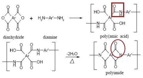 Polyimide 합성 반응 경로