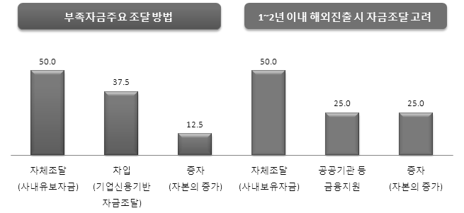 해외진출을 위한 재원조달 계획