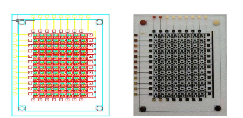 유기물 박막트랜지스터를 이용한 96 bit 프로그래머블 메모리 셀 어레이 설계도 및 소자 구현 사진