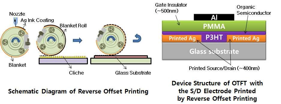 Reverse offset printing 공정 모식도 및 ROP된 전극 활용 P3HT OTFT 모식도