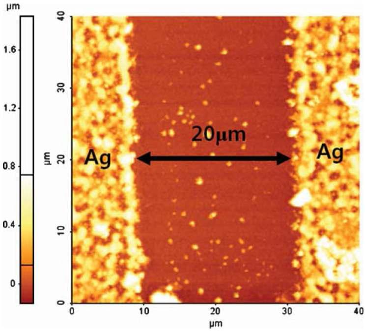 Reverse offset printing 된 Ag 전극의 AFM사진