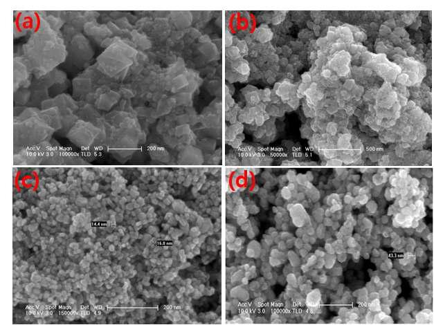 SEM pictures of copper compounds syntehsized using differentconcentration of hydroxyl ions