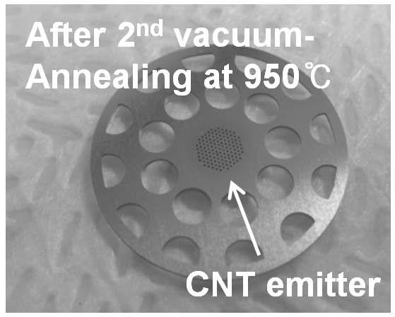 고온(∼950 ℃) 진공 열처리 후 Kovar 기판상의 CNT에미터