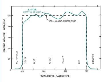 Quantum Sensor의 분광특성 곡선