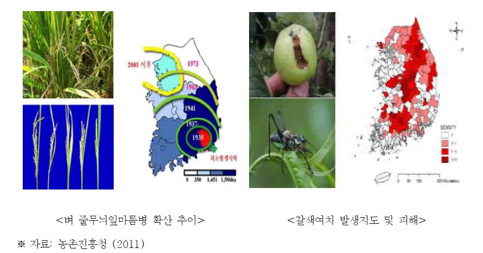 기후변화에 의한 병·해충 발생 현황