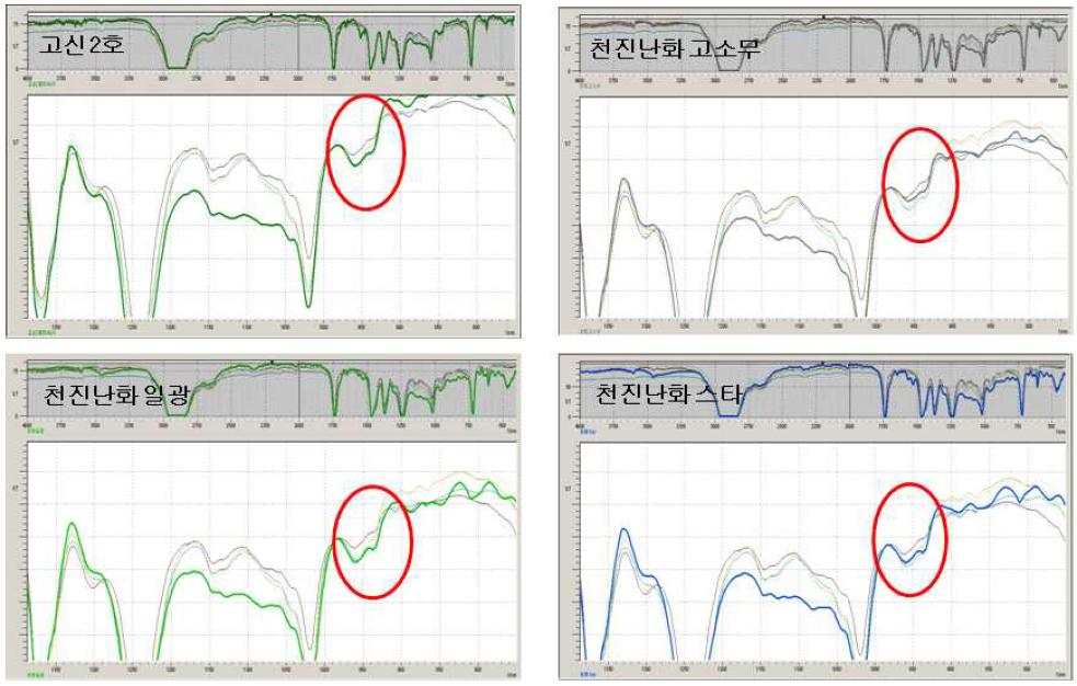 중국 입수품 FT-IR Peak (1,000~900nm)