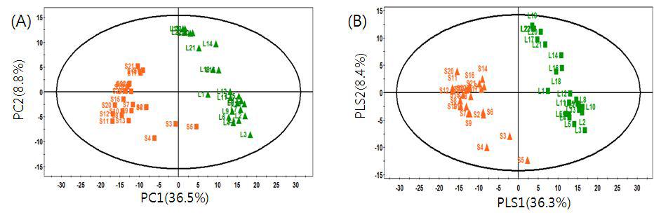 채취 시기 및 장소가 다른 23개의 참싸리 잎과 23개의 참싸리 줄기의 다변량 통계분석.(A) PCA,(B)PLS-DA (주황색 :줄기,연두색 :잎)