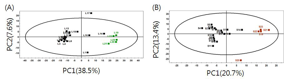 채취 시기 및 장소가 다른 23개 참싸리 샘플의 PCA 통계분석 결과.(A)잎,(B)줄기,(검정색 : 여름(7-8월),색 원(9월))