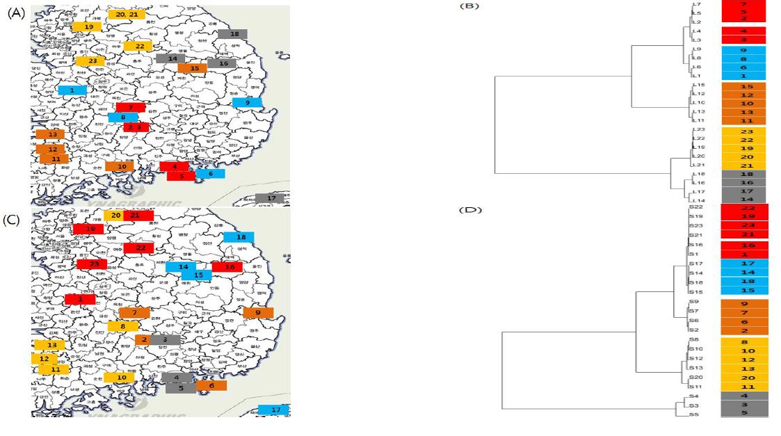 PCA scoreplot상에 나타낸 샘플 번호를 지도상에서 표시함.(A)잎,(B)줄기.;각각의 번호는 샘플 번호를 위미함