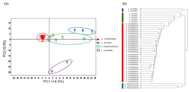 싸리속 식물 잎 부위의 LC-MS 데이터 셋트로부터 유도된 PCA score plot (a),HCA dendrogram (b).