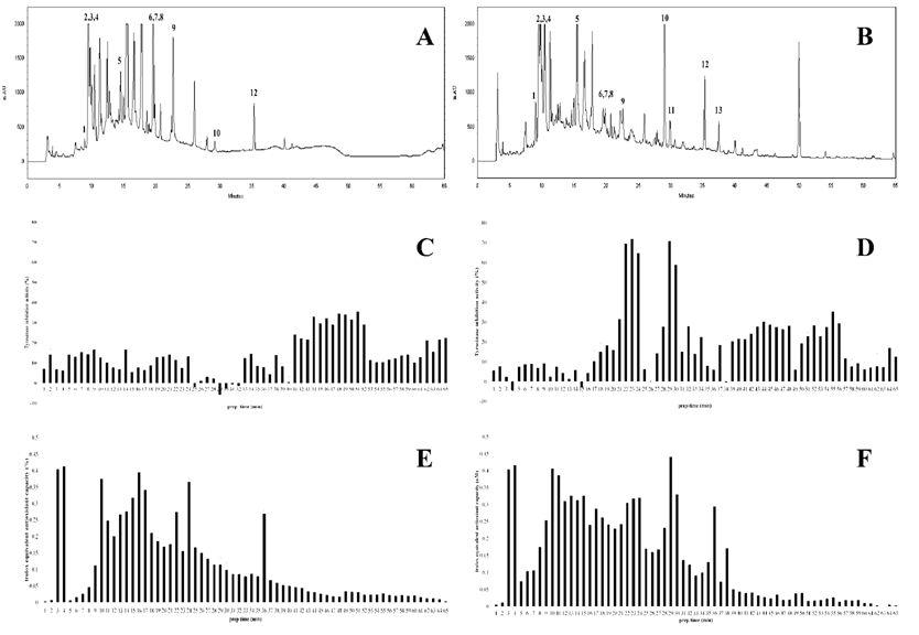 참싸리 잎,줄기의 prepHPLC 프로파일링 및 활성 측정 결과.참싸리 잎(A)과 줄기(B)의 크로마 토그램,각각의 분획물들은 잎(C)과 줄기(D)의 tyrosinase저해 활성과 잎(E),줄기IF)의 항산화 활성 측 정 결과