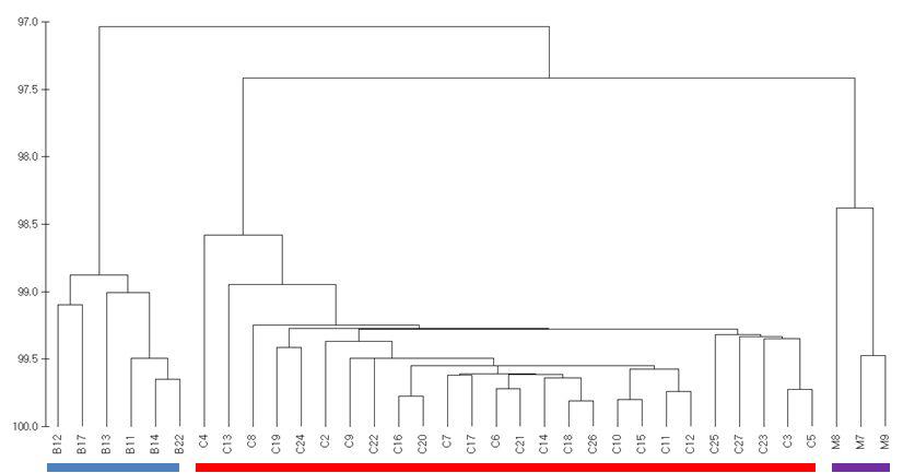 A dendrogram of 35 Lespedeza based on complete linkagedistancemethodusing 8charactersofprincipalcomponent analysis