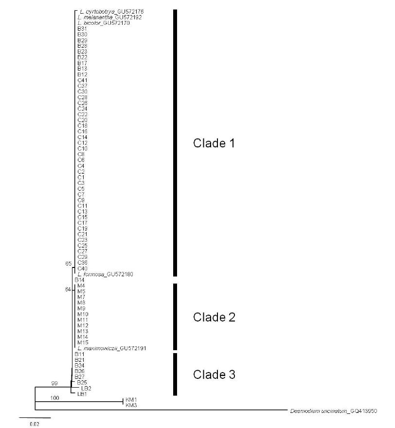 NJtreeofITSbasedondistancevalue.