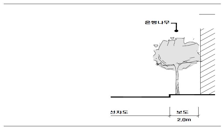 일본 도쿄도 에도가와구 후나보리(에도가와구 12) 은행나무 가로수 수관평면도 및 입면도