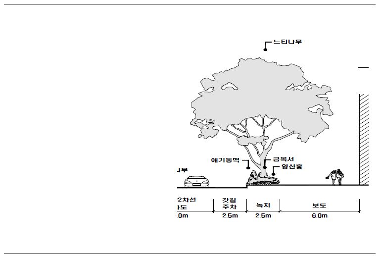 일본 도쿄도 시부야구 오모테산도(시부야구 2) 느티나무 가로수 수관평면도 및 입면도