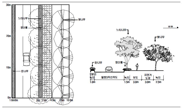 일본 느도티쿄나무도 에도가와구 사콩도리(에도가와구 6) 느티나무 가로수 수관평면도 및 입면도