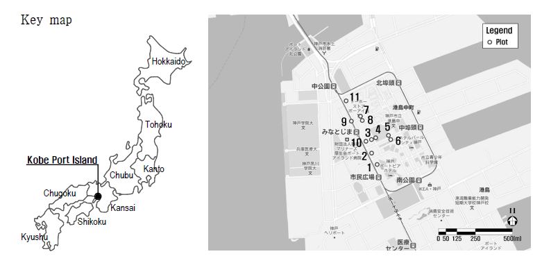 일본 고베시(神戶市) 포트아일랜드 가로수 및 가로녹지 조사구 위치도