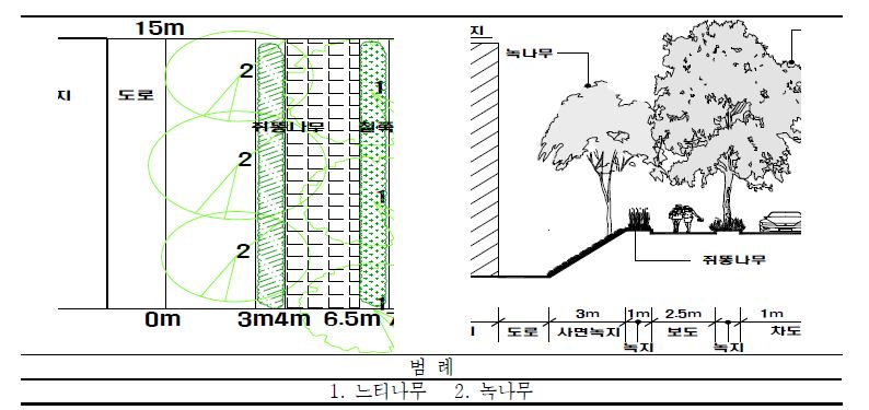 일본 고베시(神戶市) 포트아일랜드(조사구 3) 느티나무 가로수 수관평면도 및 입면도