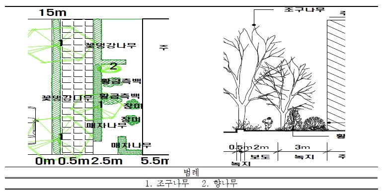 일본 고베시(神戶市) 포트아일랜드(조사구 8) 조구나무 가로수 수관평면도 및 입면도