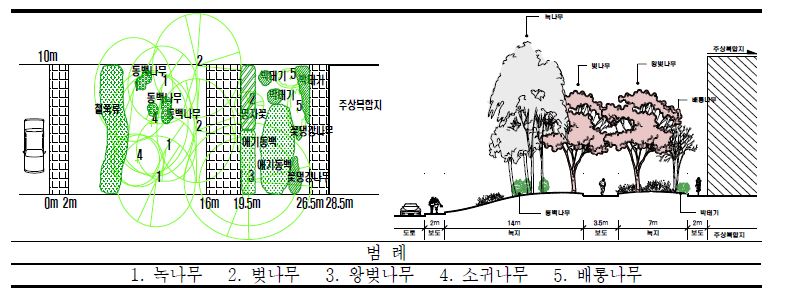 일본 고베시(神戶市) 포트아일랜드(조사구 10) 벚나무 가로수 수관평면도 및 입면도