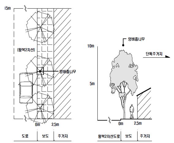 근린주구-보도 폭 3m 미만 유형(서울특별시 성미산로) 수관평면도 및 입면도